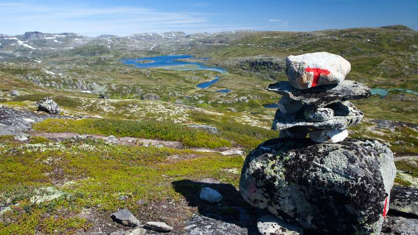 Hardangervidda